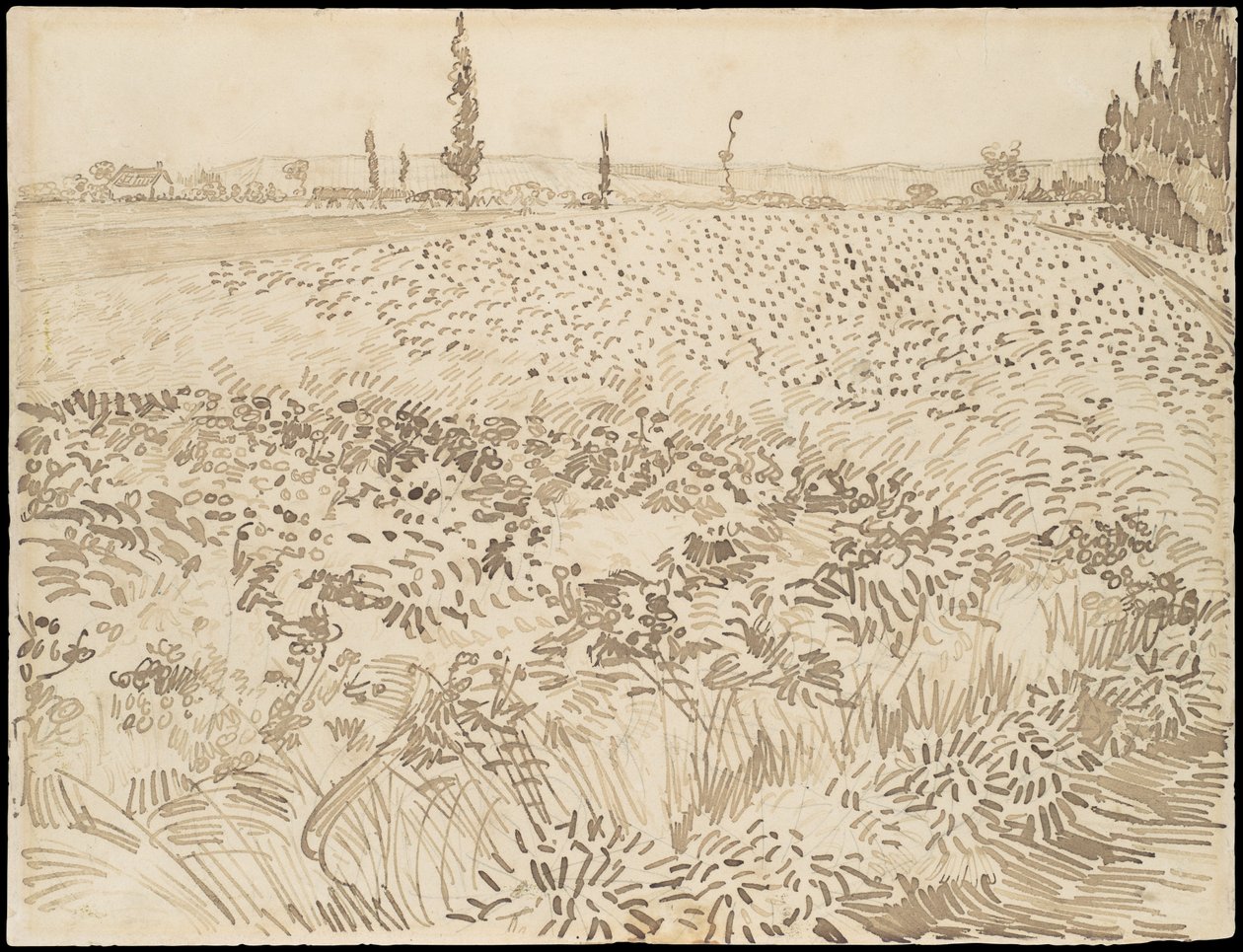Weizenfeld von Vincent van Gogh