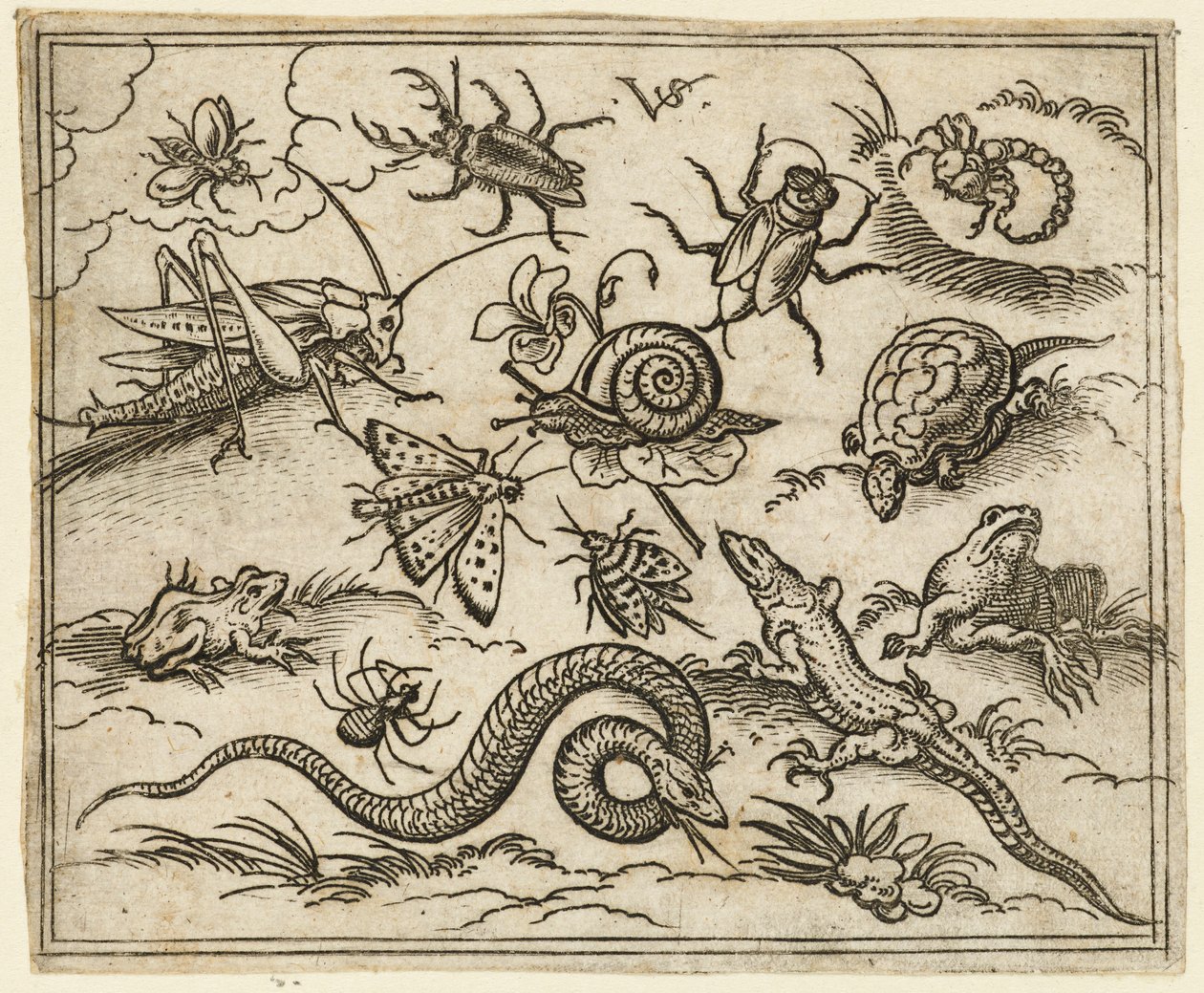 Gruppe von Insekten und Reptilien auf schlichtem Boden mit Felsen, einschließlich einer Leguan, einer Eidechse..., 1557 von Virgil Solis