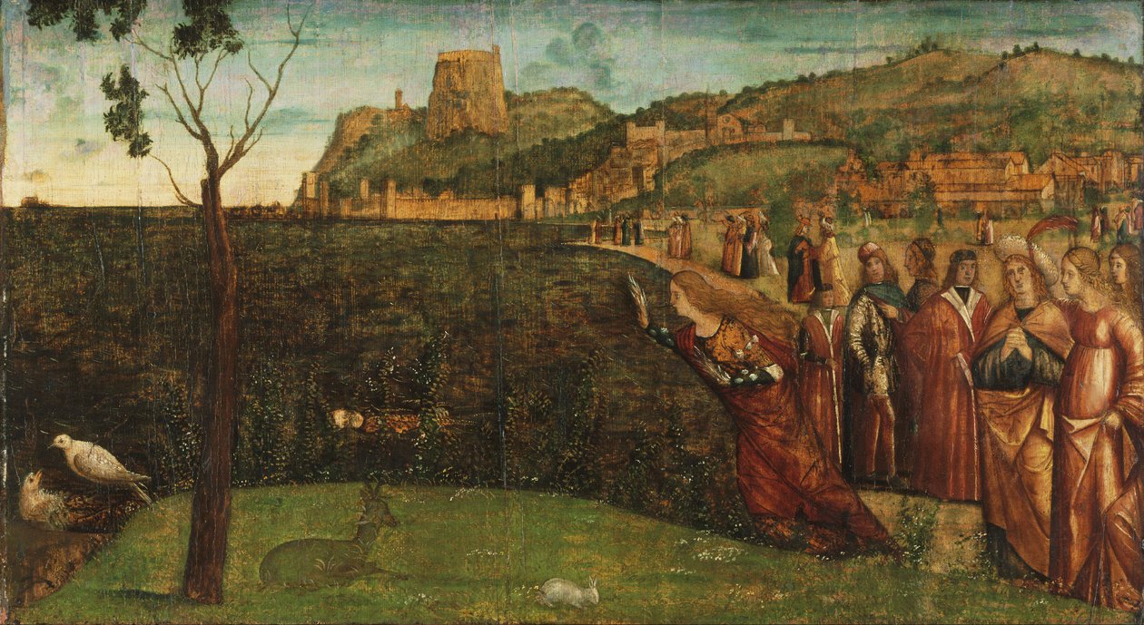 Die Metamorphose der Alkyone, ca. 1502-1507 von Vittore Carpaccio