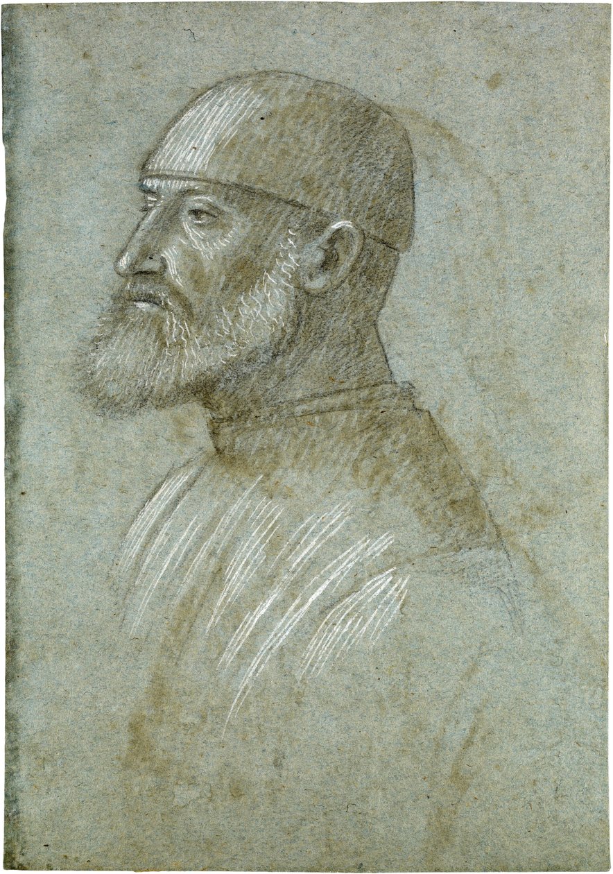 Kopf eines bärtigen Mannes mit Mütze, im Profil nach links von Vittore Carpaccio