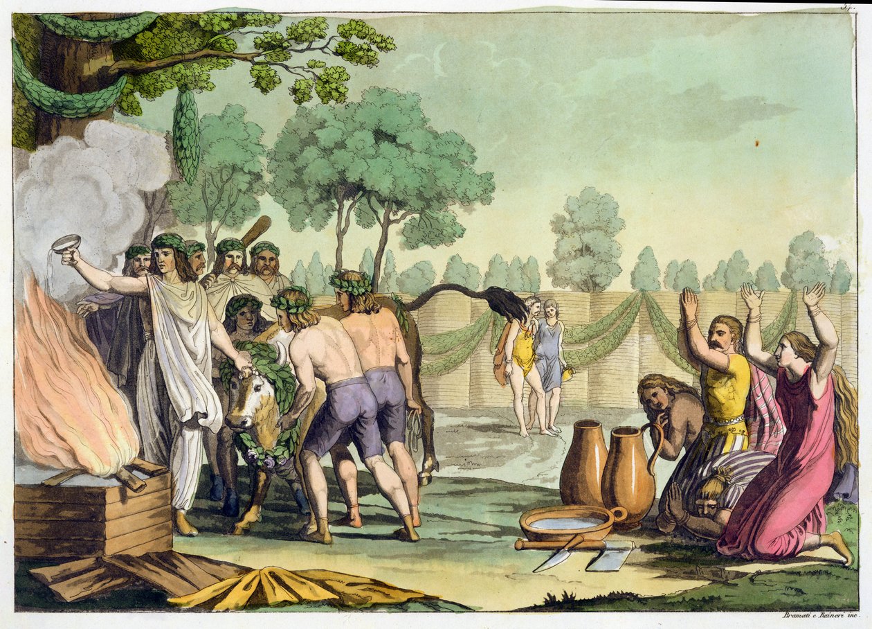 Alte Kelten oder Gallier opfern eine Kuh, ca. 1800-18 von Vittorio Raineri