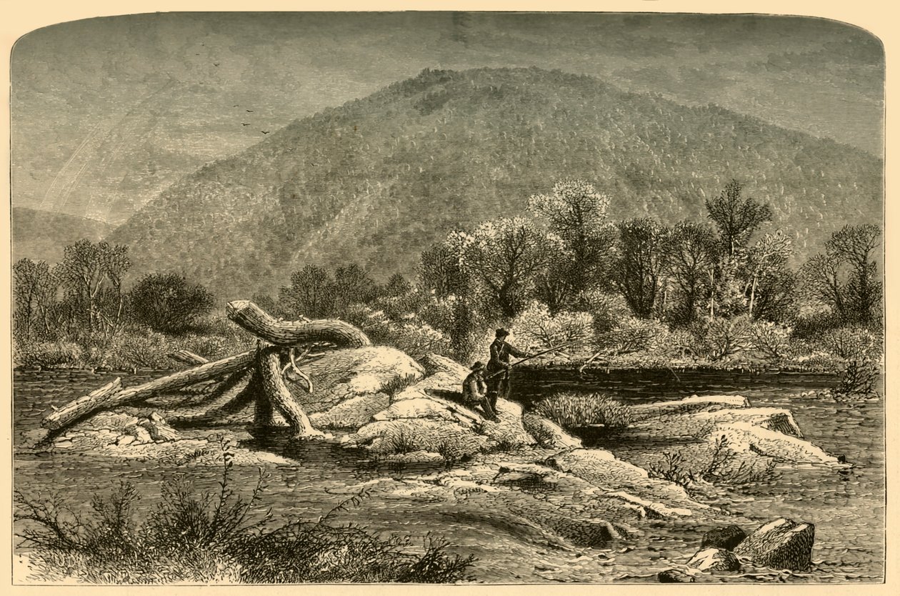 Mount Chesterfield von W.H. Morse