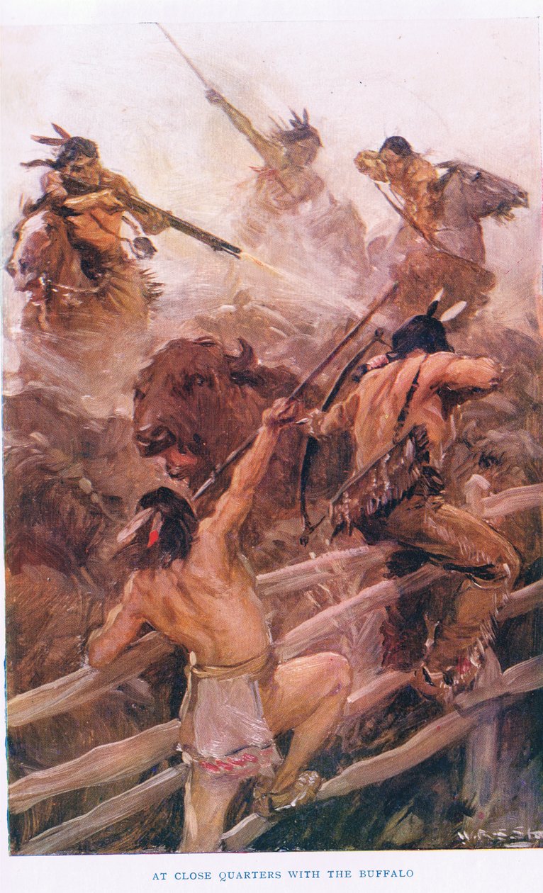 Im Nahkampf mit dem Büffel, Illustration aus 