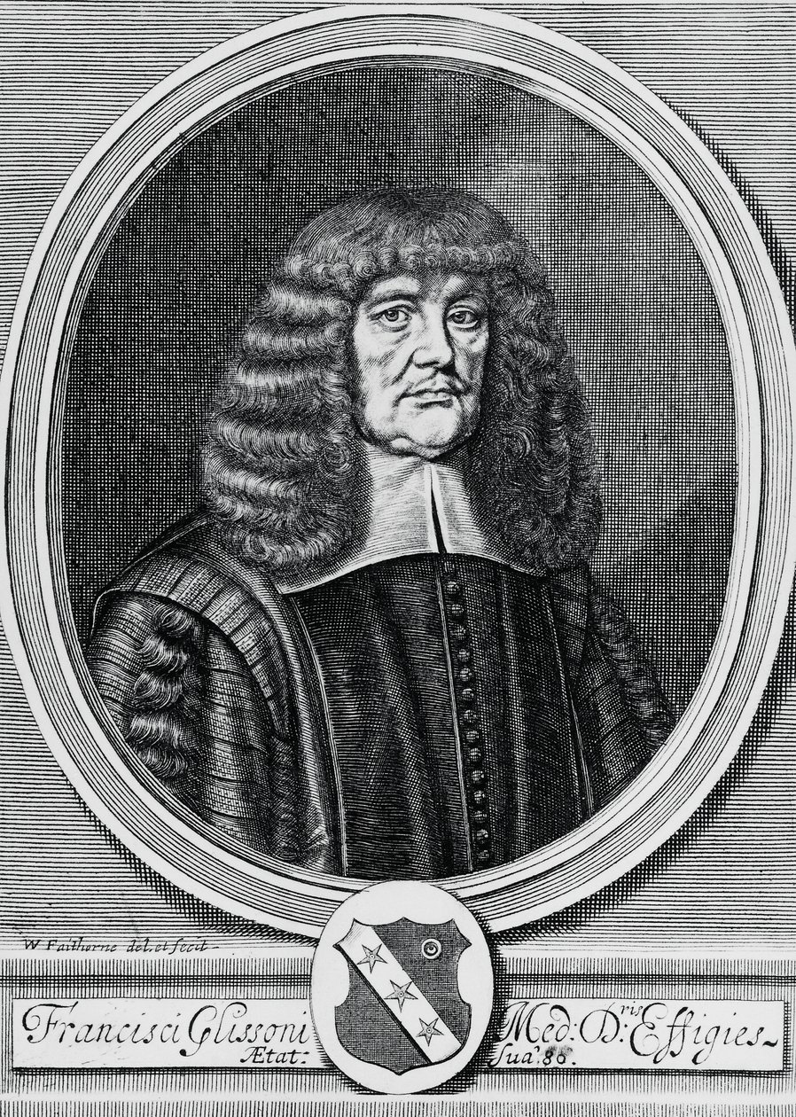 Porträt von Francis Glisson (1597-1677), britischer Physiker, Anatom und Arzt, Gravur von John Ward Dunsmore