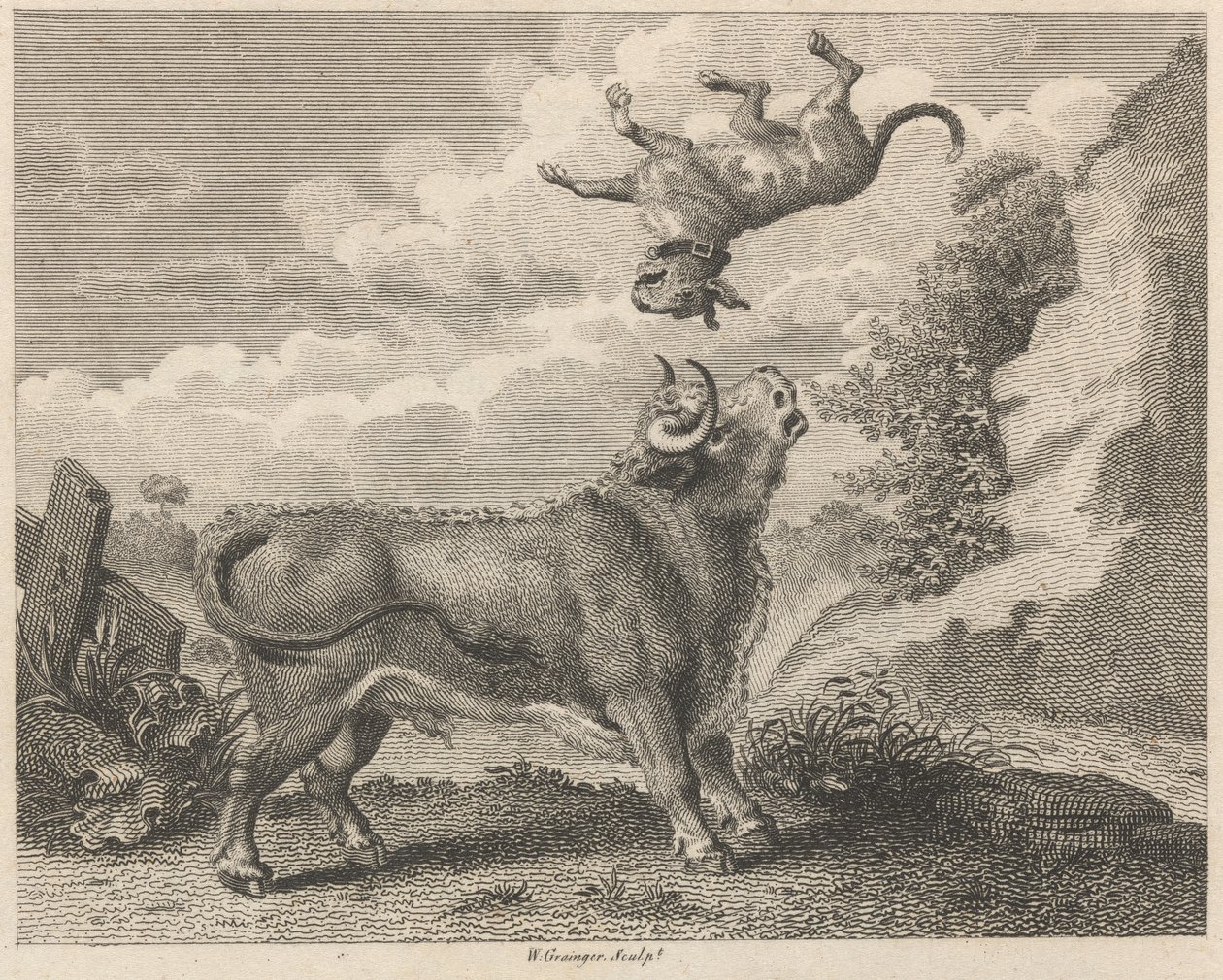 Der Stier und der Mastiff von W. Grainger