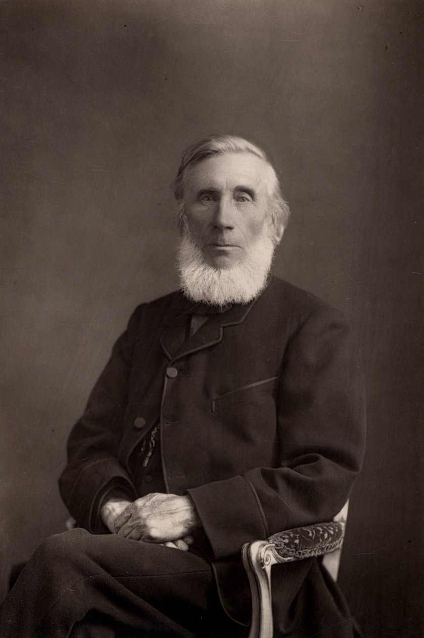John Tyndall (1820-1893) irisch-britischer Physiker von W. and D. (after) Downey