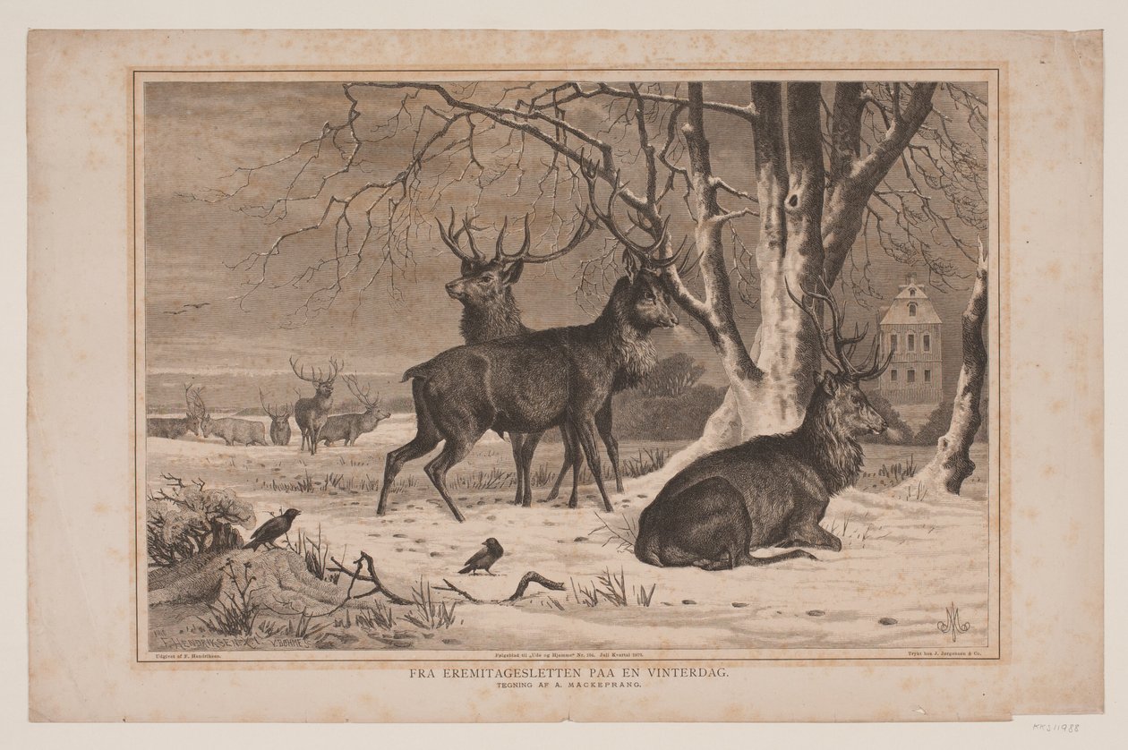 Von der Eremitage-Ebene an einem Wintertag von Waldemar Bøhme