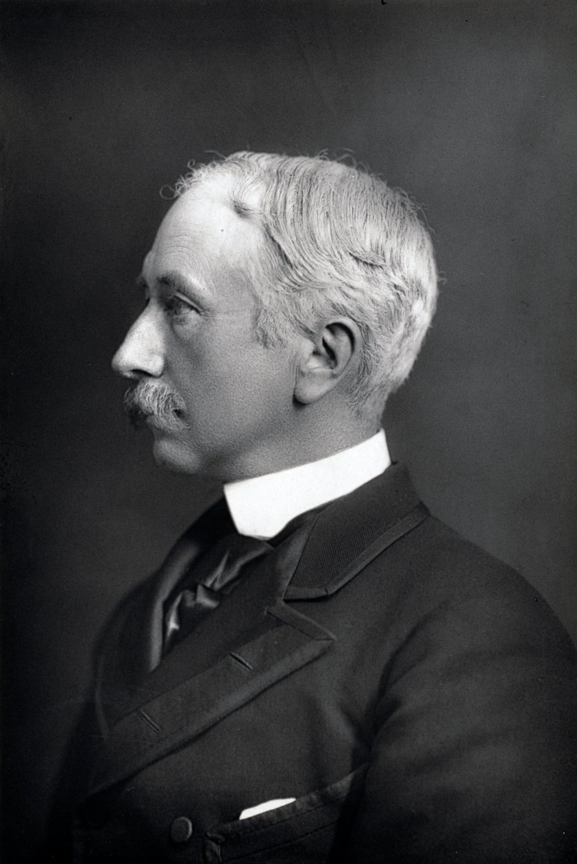 Garnet Joseph Wolseley, Viscount Wolseley, irisch-geborener britischer Soldat von WandD Downey