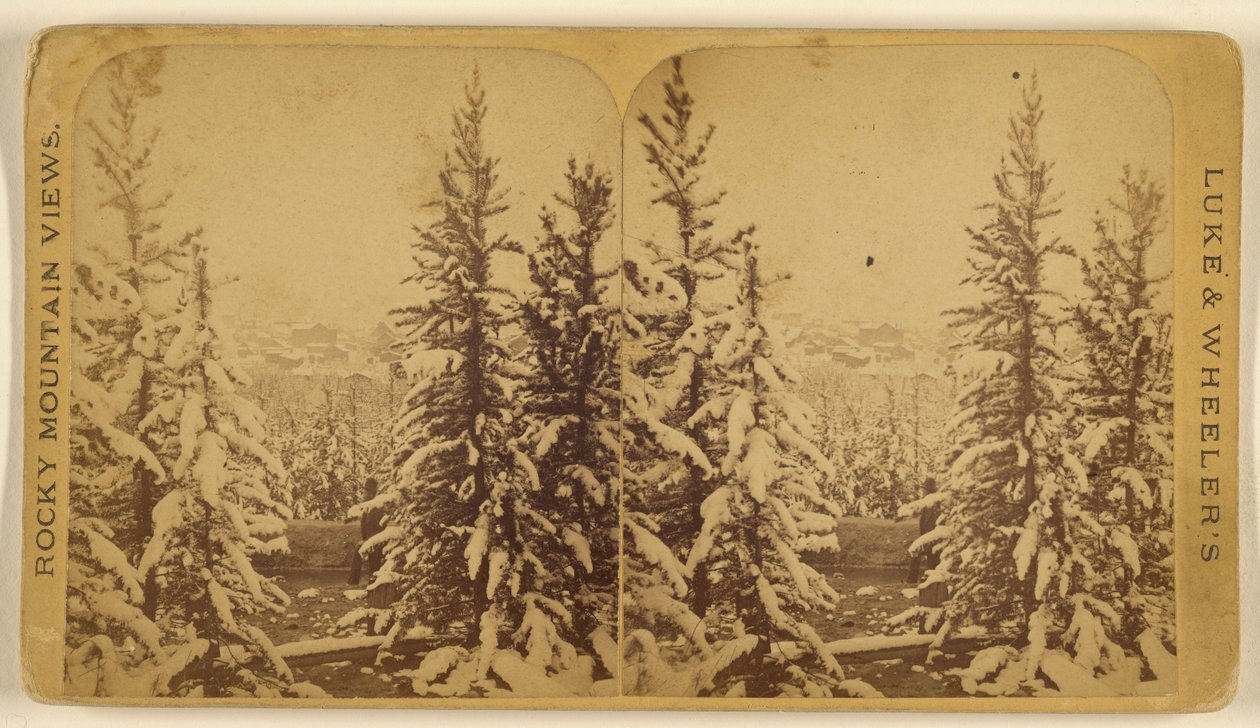 Bäume mit Schnee, Leadville, Colorado von Wellington O. Luke and Dansford Noble Wheeler
