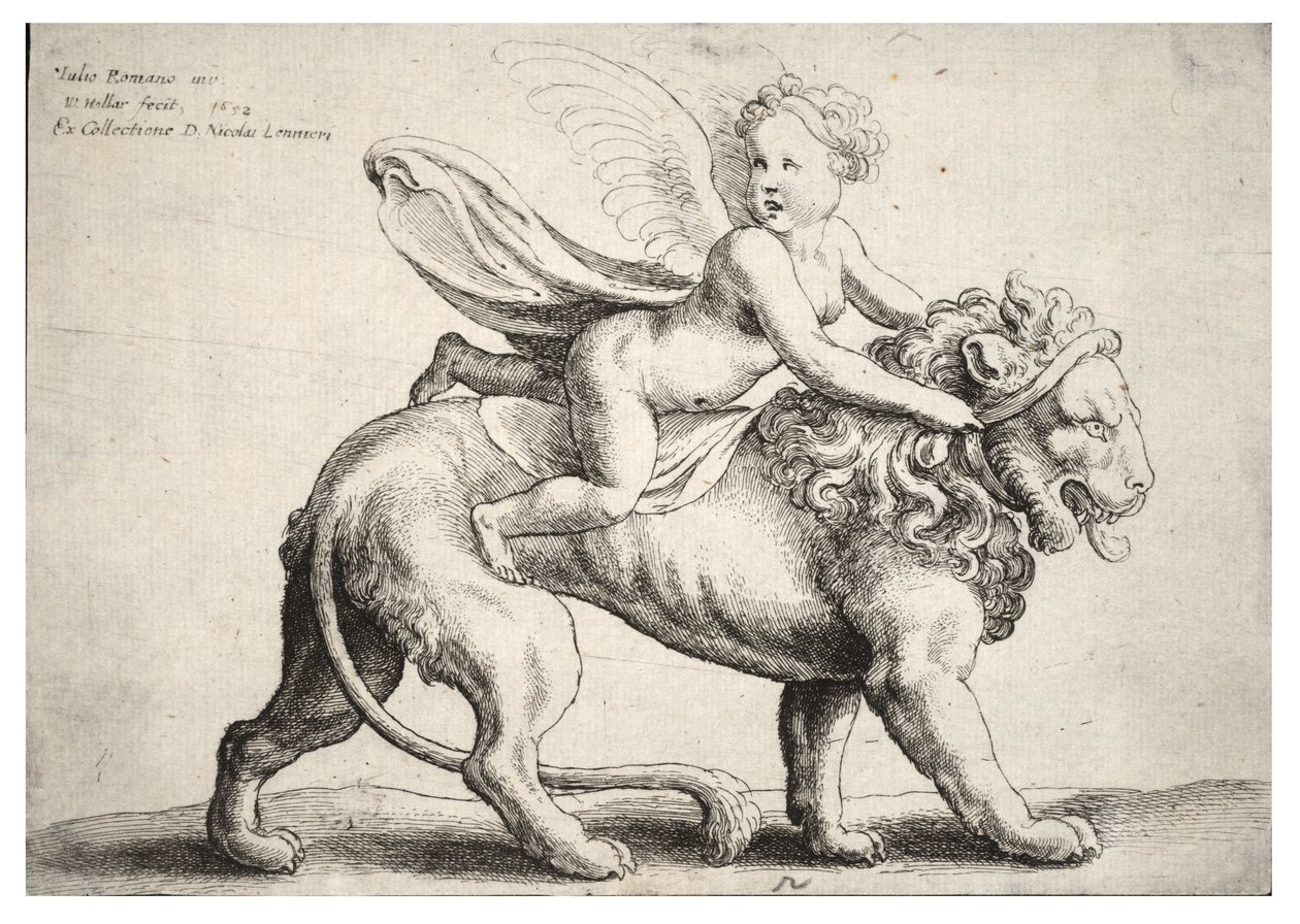 Amor auf einem Löwen, nach Giulio Romano von Wenceslaus Hollar