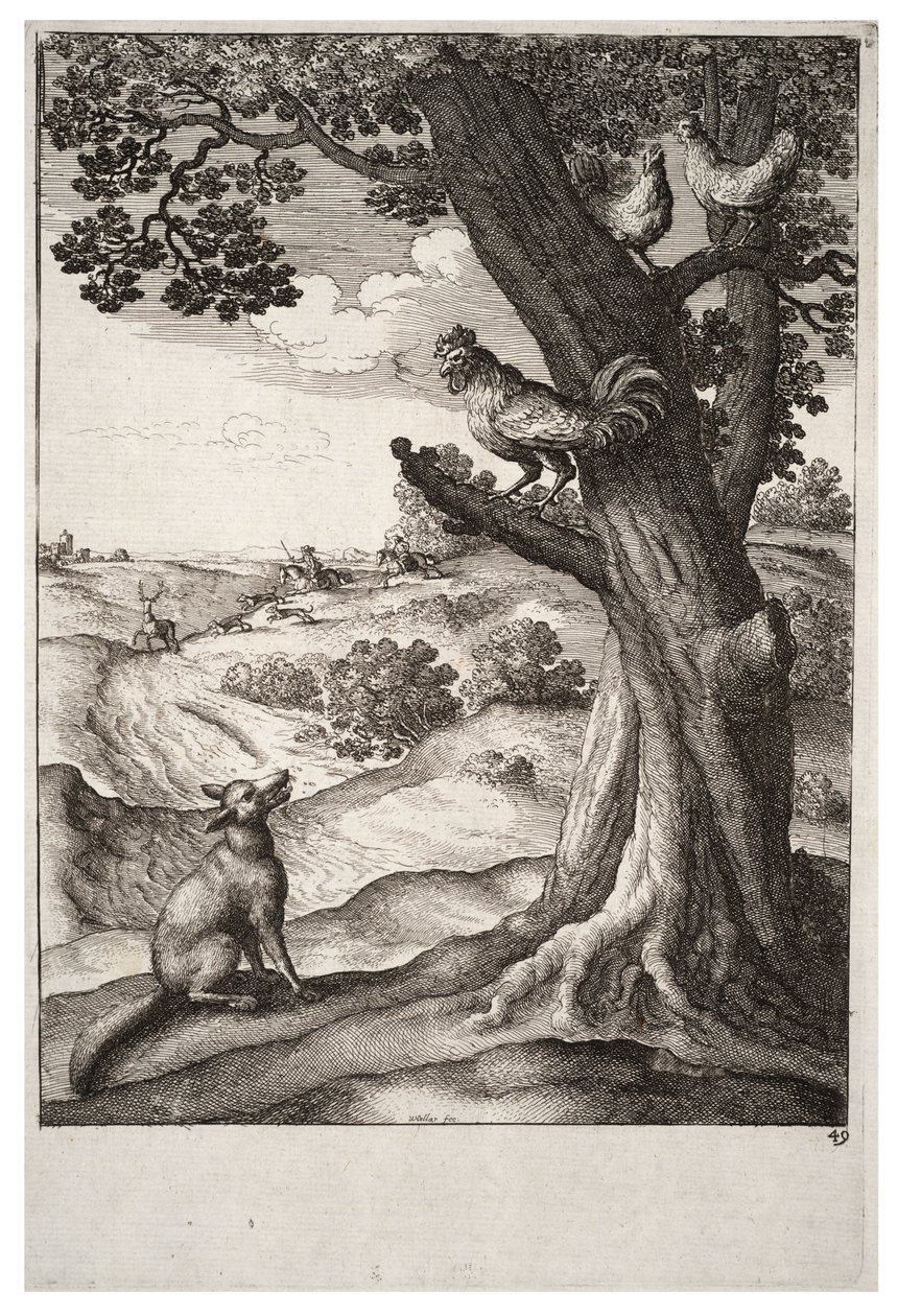 Der Fuchs und der Hahn von Wenceslaus Hollar