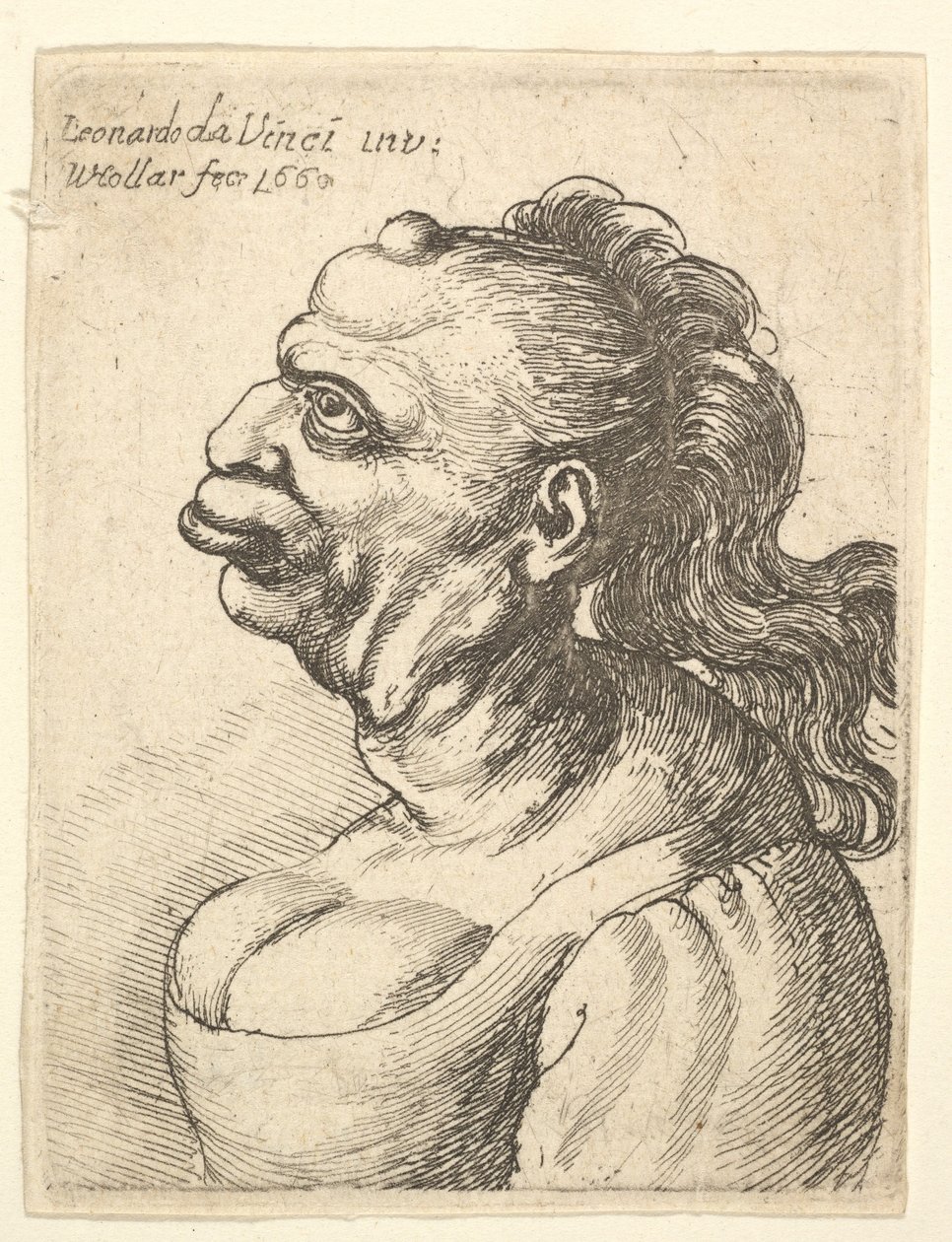 Büste einer Frau mit tief ausgeschnittenem Kleid, mit hervorstehender Lippe, Wuchs auf ihrer Stirn von Wenceslaus Hollar
