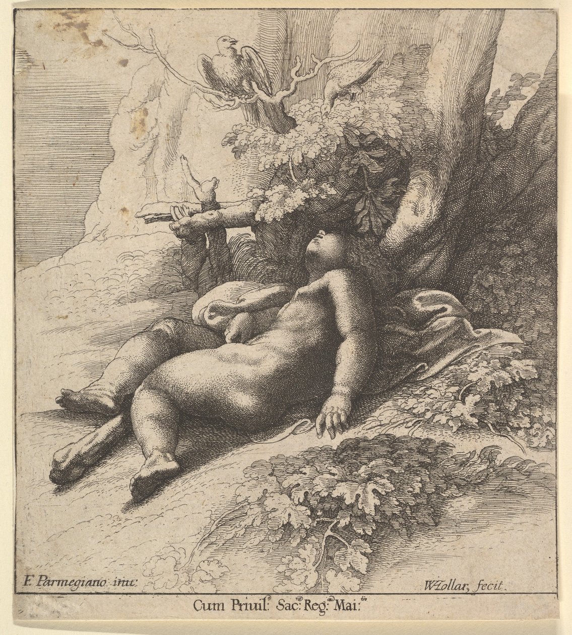 Schlafender Hercules als Kind von Wenceslaus Hollar