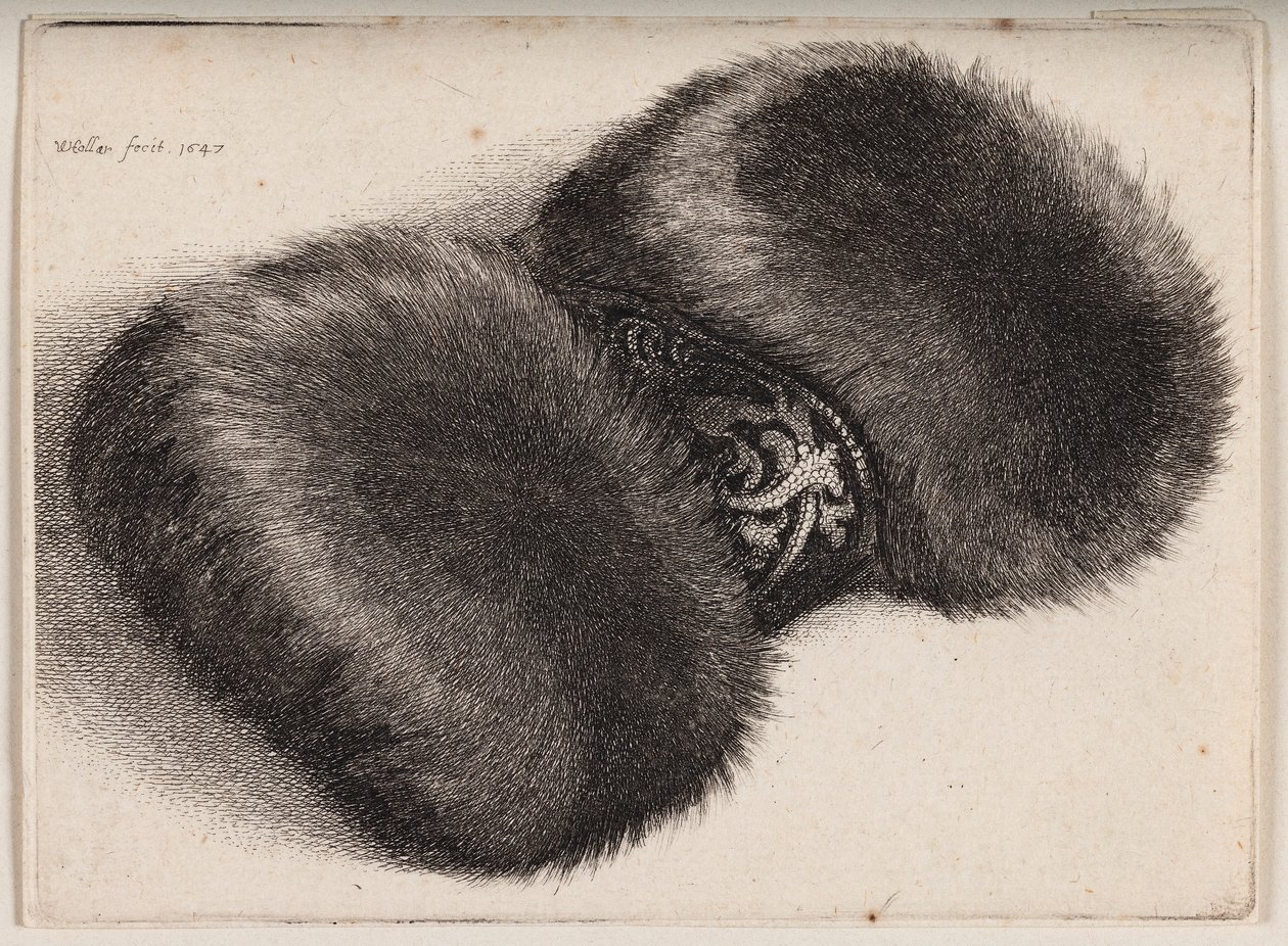 Pelzmuff mit einem brokatbesetzten Band von Wenceslaus Hollar
