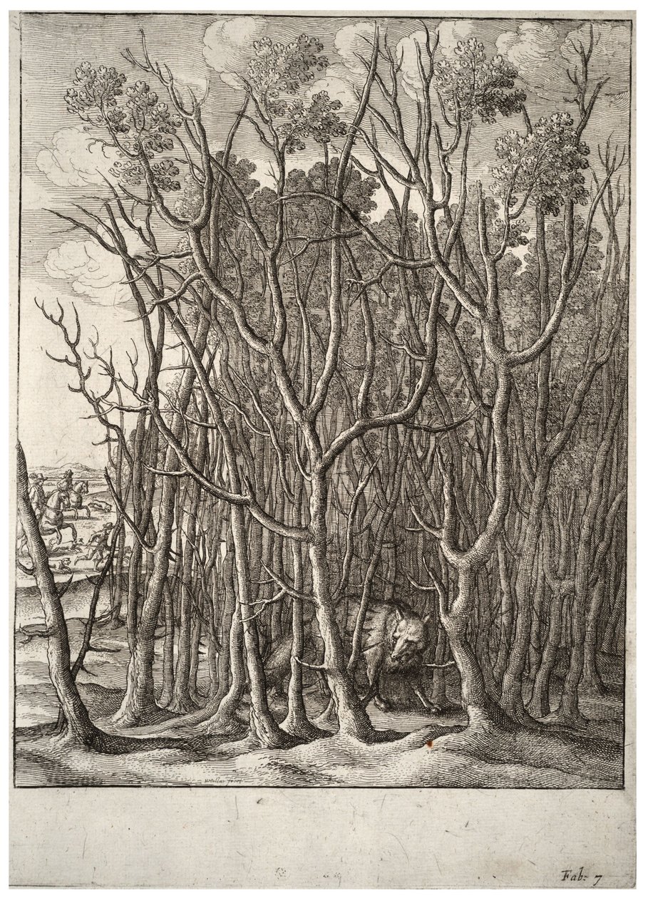 Der Fuchs und der Dornbusch (Zustand 2) von Wenceslaus Hollar