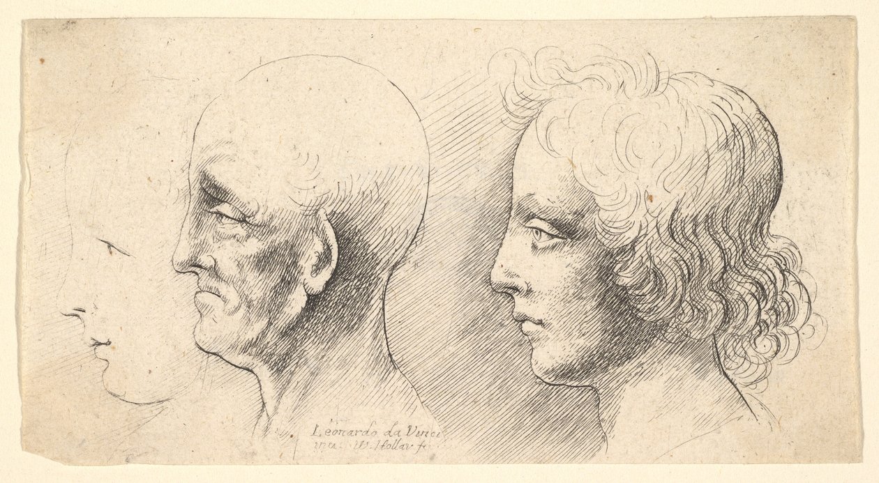Drei Profilköpfe, einer nur in Umrissen, 1625-77 von Wenceslaus Hollar