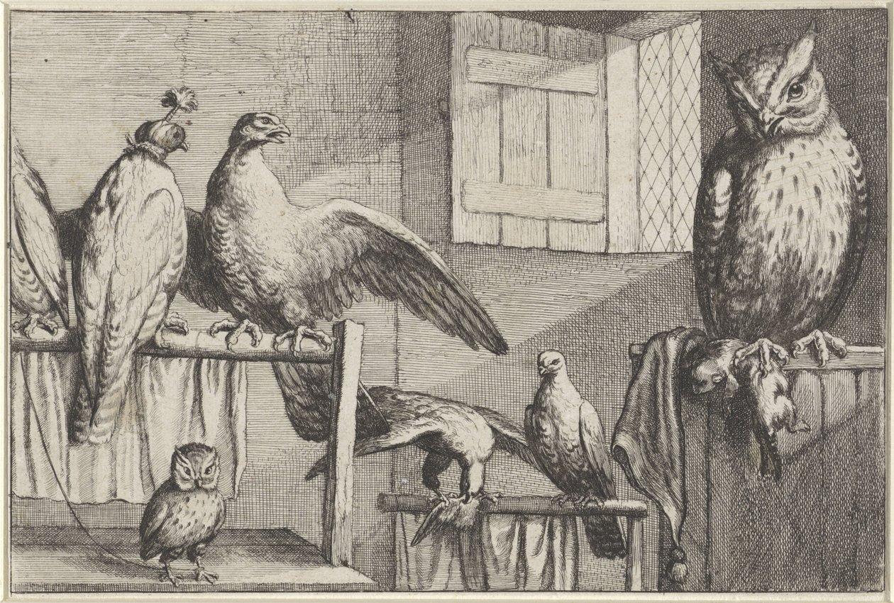 Falken und Eulen in einer Scheune von Wenceslaus Hollar