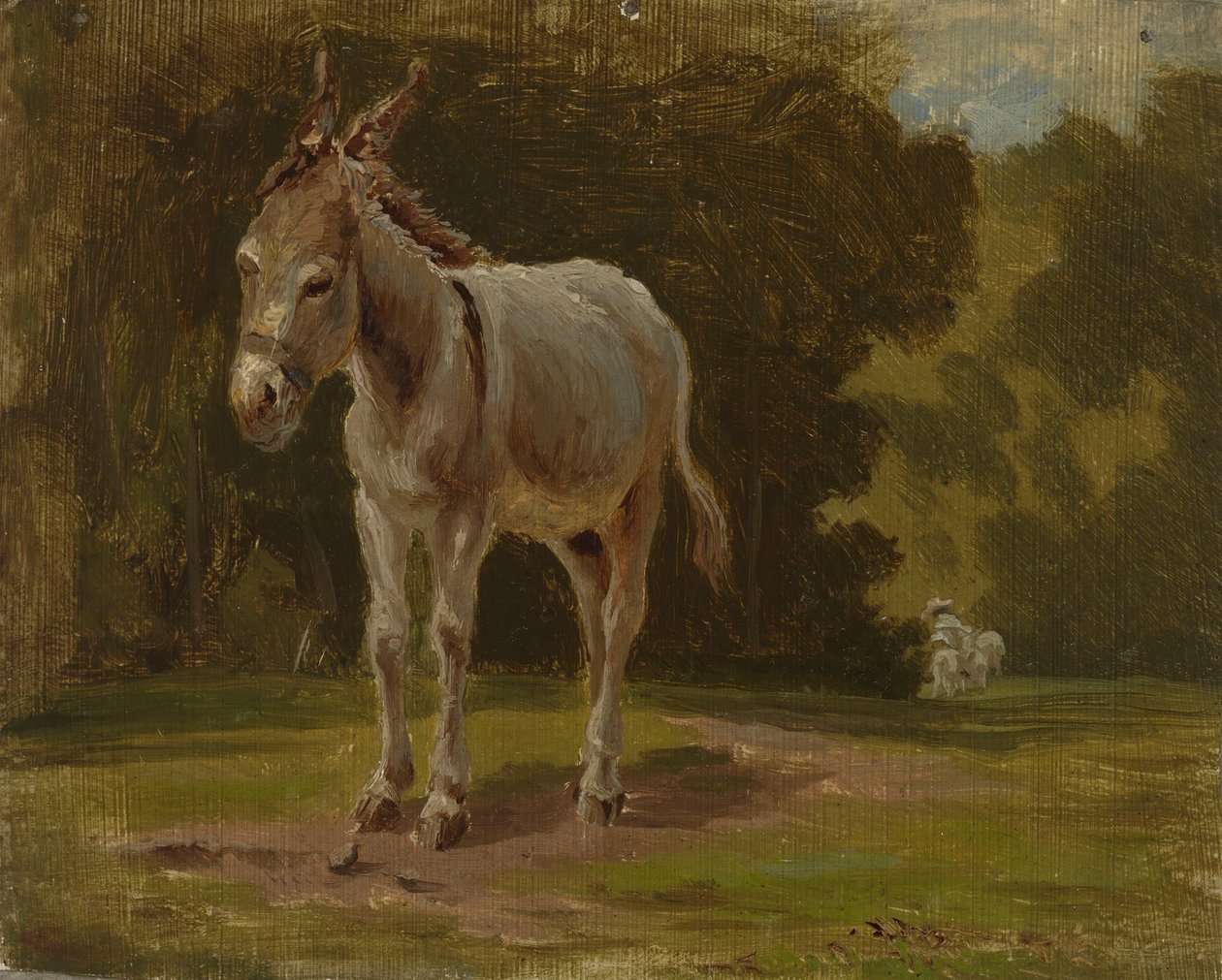 Esel von Werner Holmberg