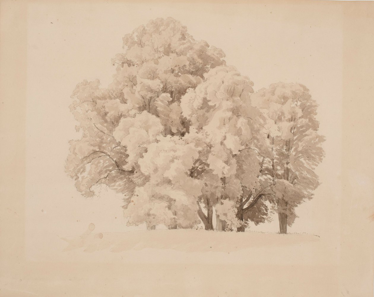 Gruppe von Laubbäumen von Werner Holmberg