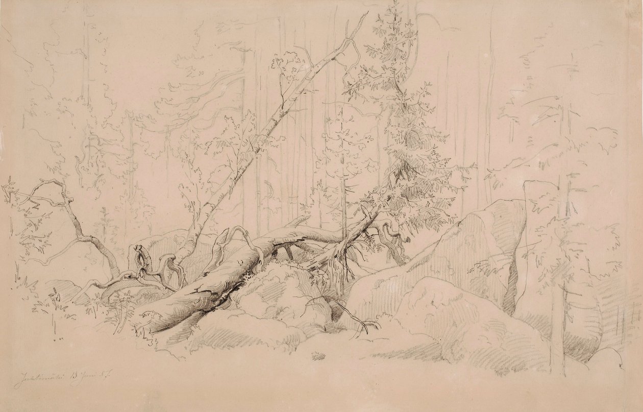 Ohne Titel von Werner Holmberg