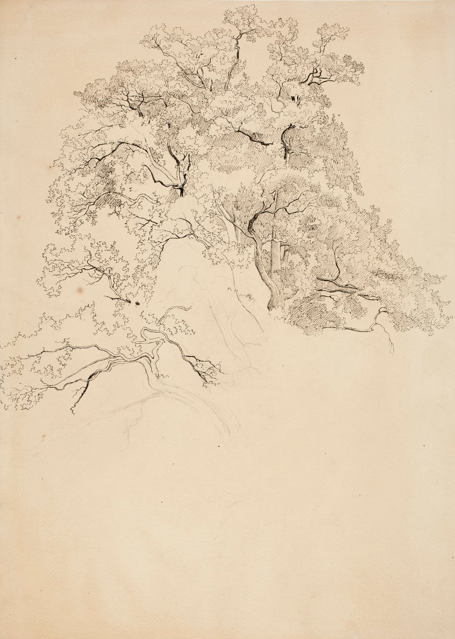 Ohne Titel von Werner Holmberg