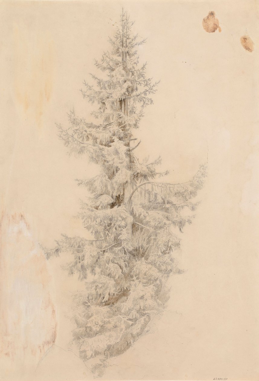 Ohne Titel von Werner Holmberg