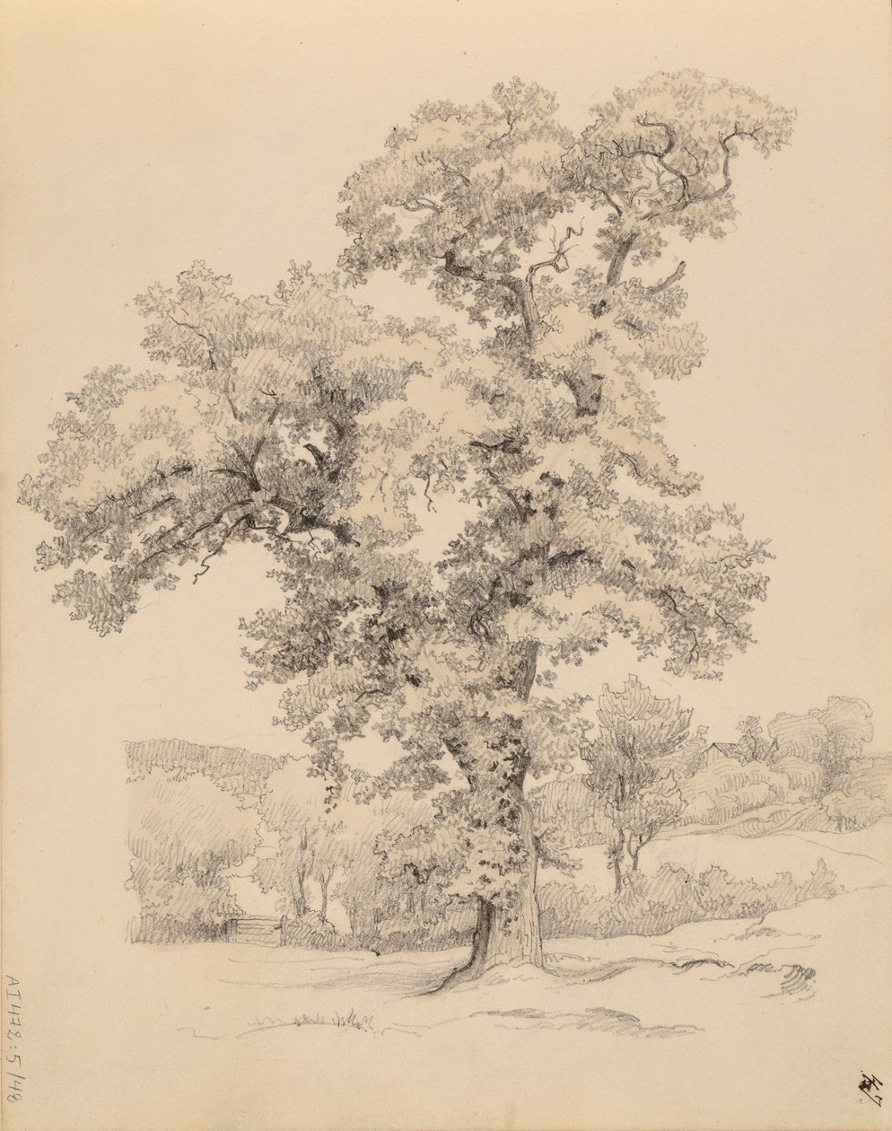 Ohne Titel von Werner Holmberg