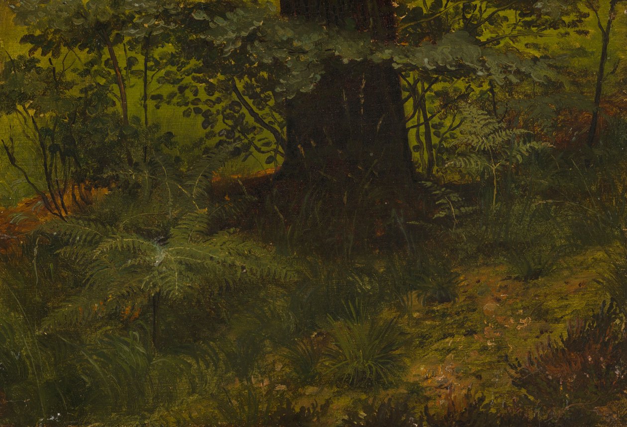 Ohne Titel von Werner Holmberg