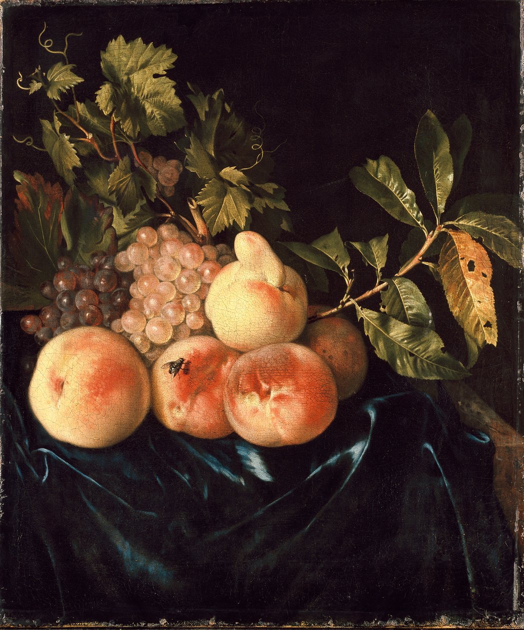 Stillleben mit Pfirsichen und Trauben, 1705 von Willem Frederiksz van Royen