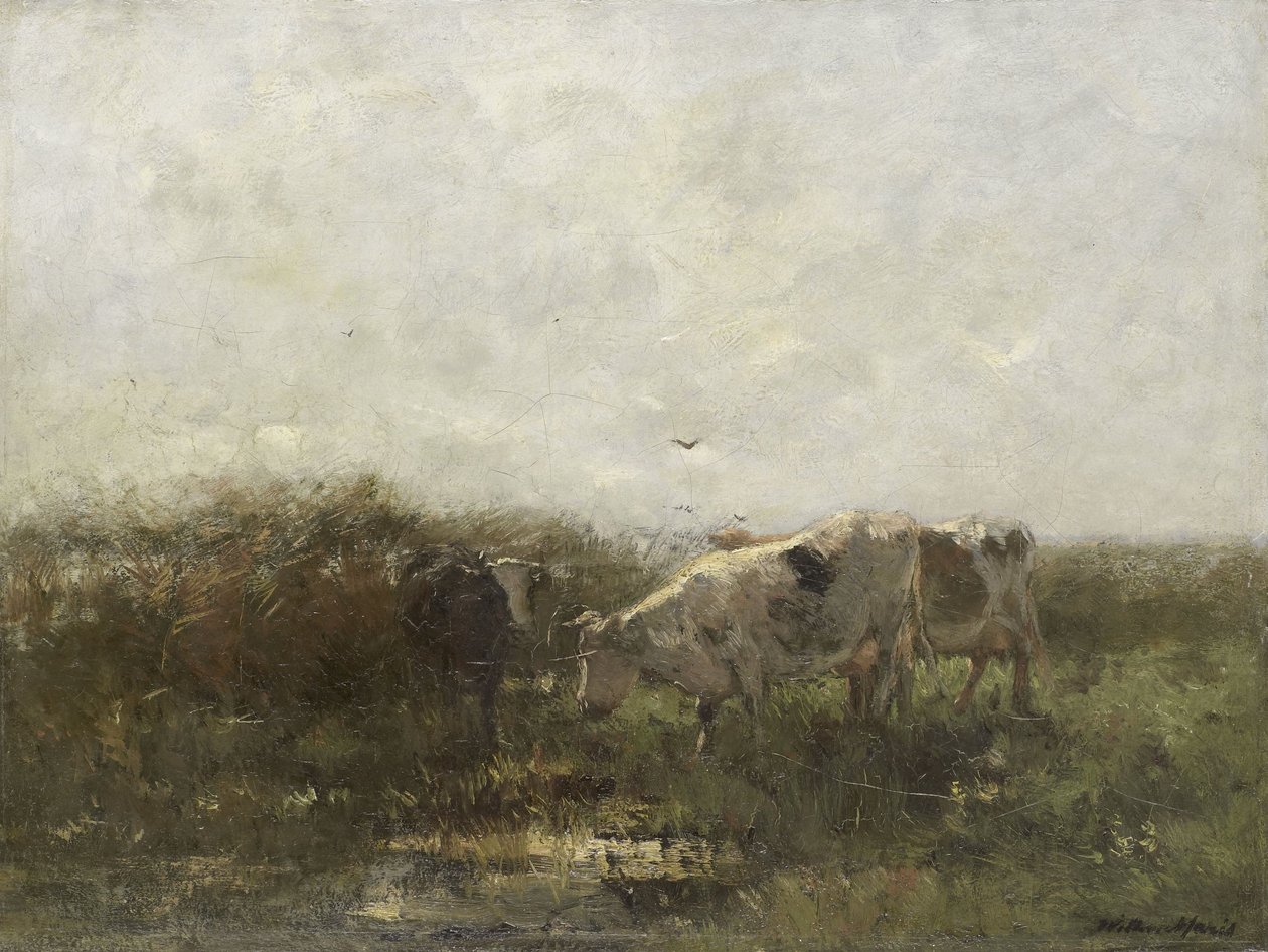 Kühe auf einer sumpfigen Wiese von Willem Maris