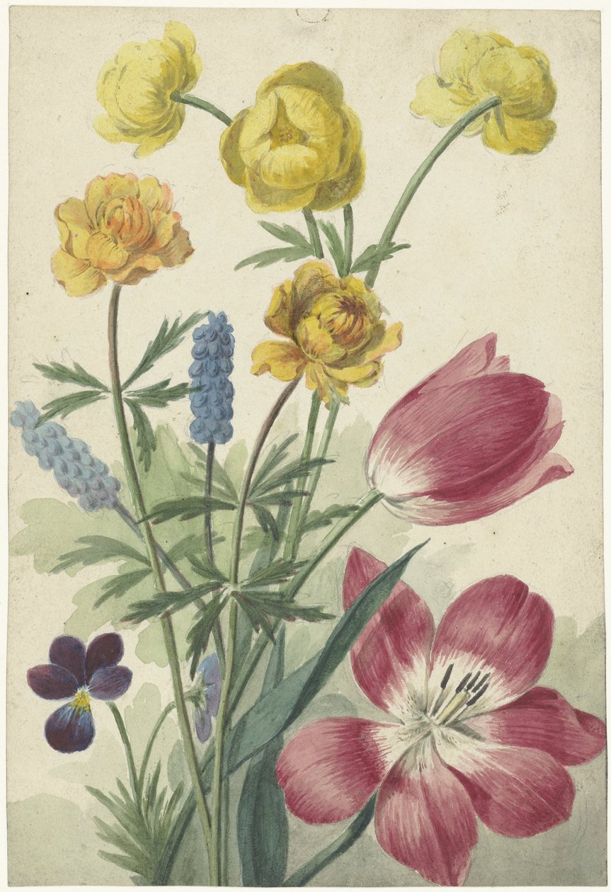 Blumenstrauß aus Tulpen, Veilchen, Traubenhyazinthen und Dotterblumen von Willem van Leen