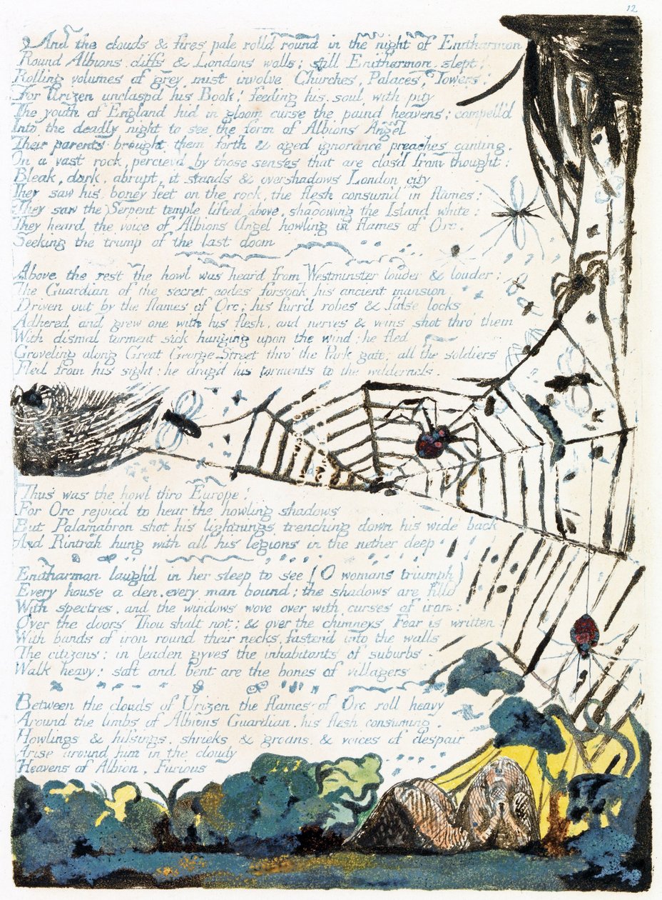 Illustration aus 