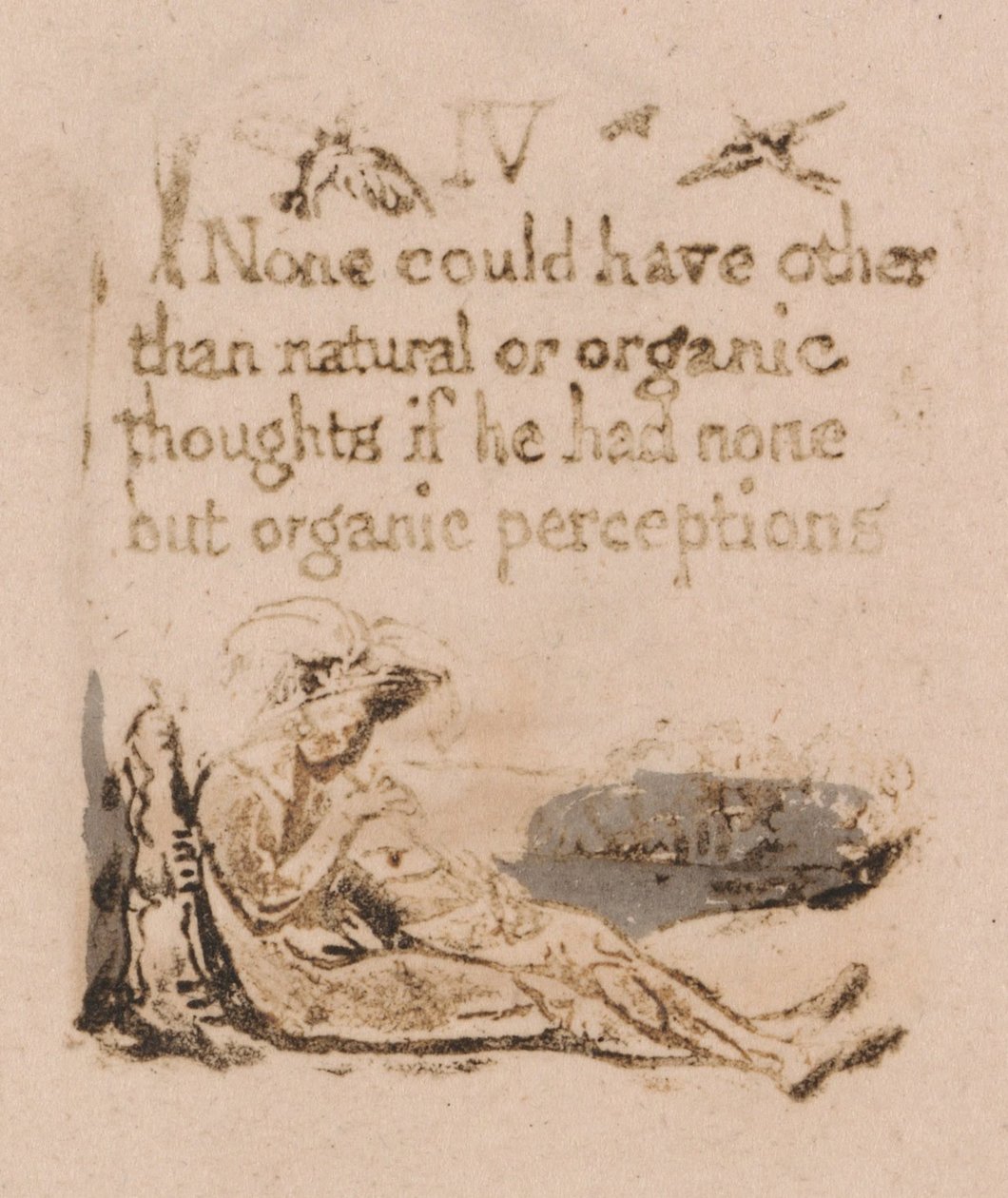 Es gibt keine natürliche Religion, Tafel 6, IV Keiner hätte . . . . (Bentley a7) von William Blake