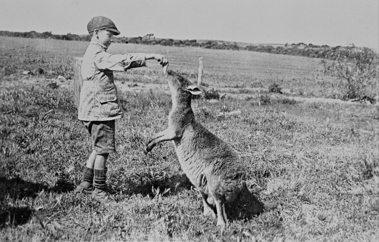Paddy Dickson füttert Kanga Joe von William Boyd