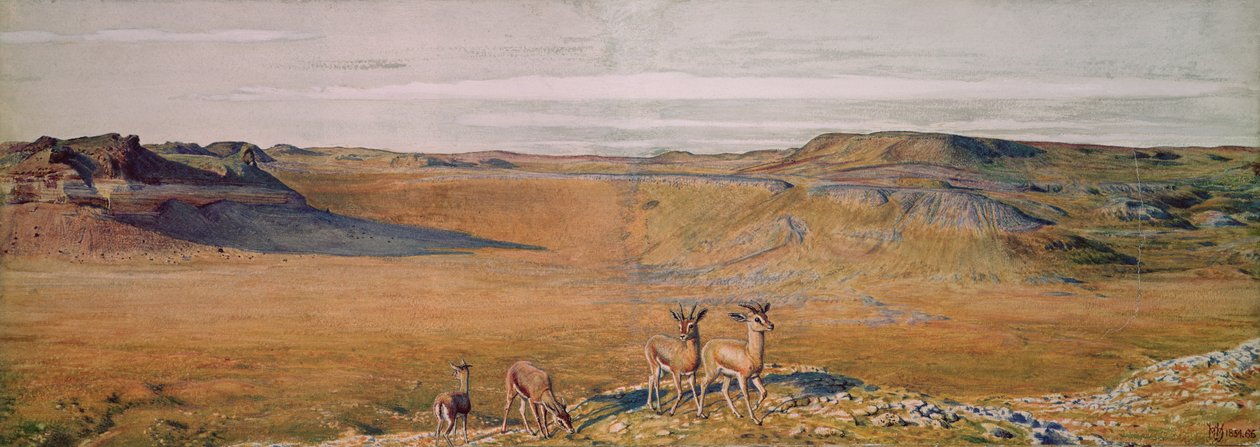 Die Wildnis von Gizeh, 1854 von William Holman Hunt
