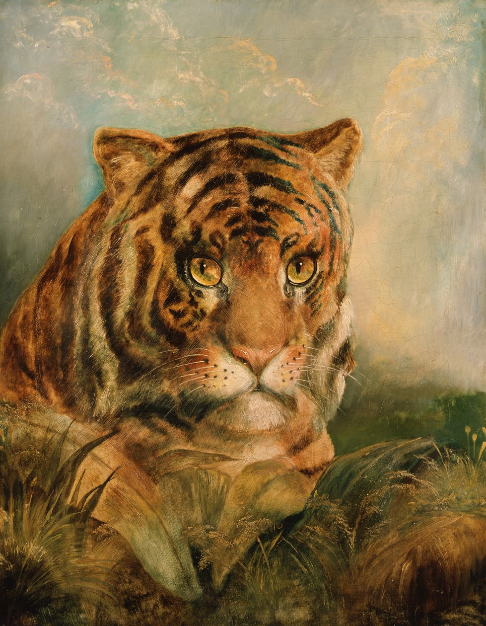 Unbekanntes Bild von William Huggins