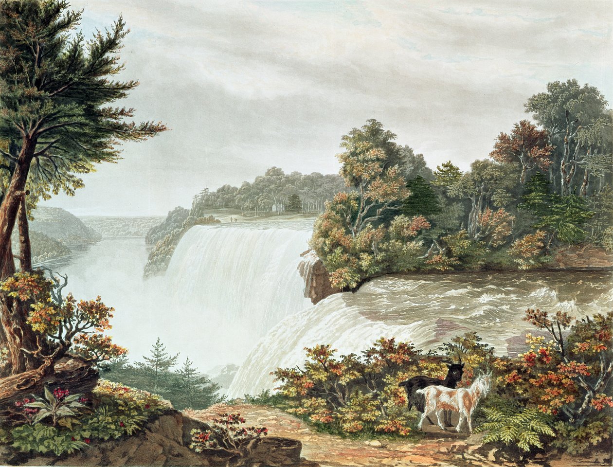 Niagarafälle, von Goat Island aus gesehen von William James Bennett