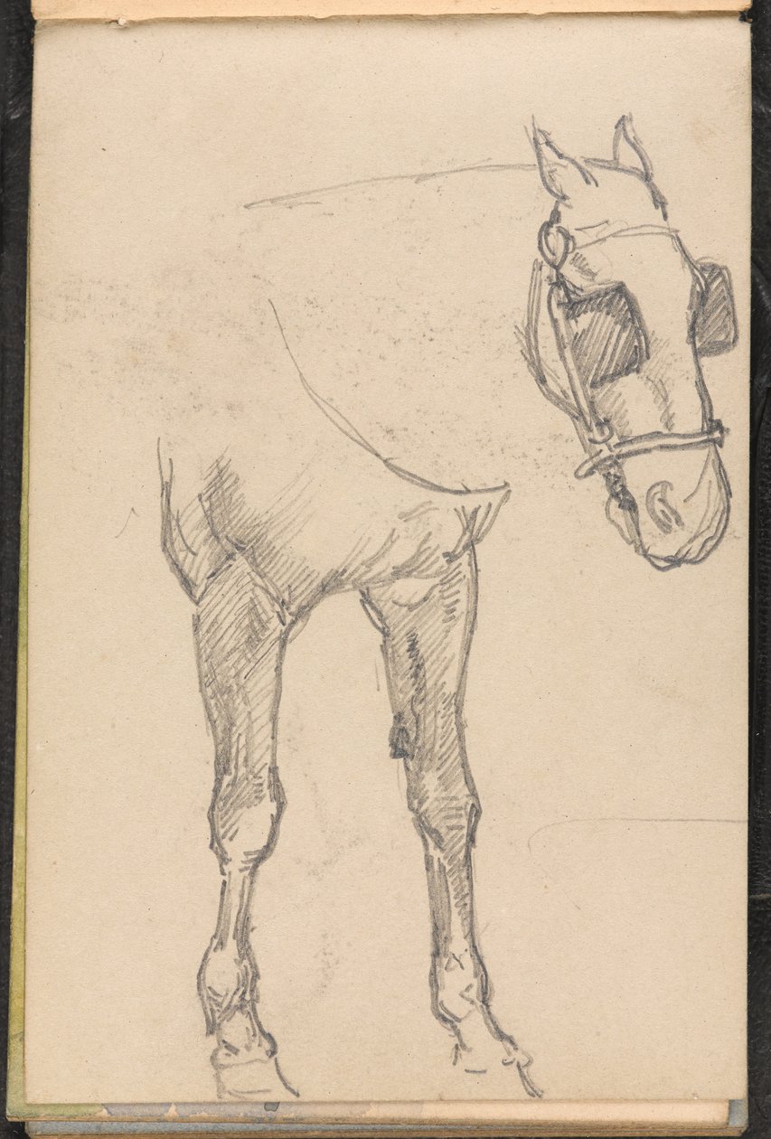 Skizze eines Pferdes mit Scheuklappen, ca. 1879 von William Barnes Wollen