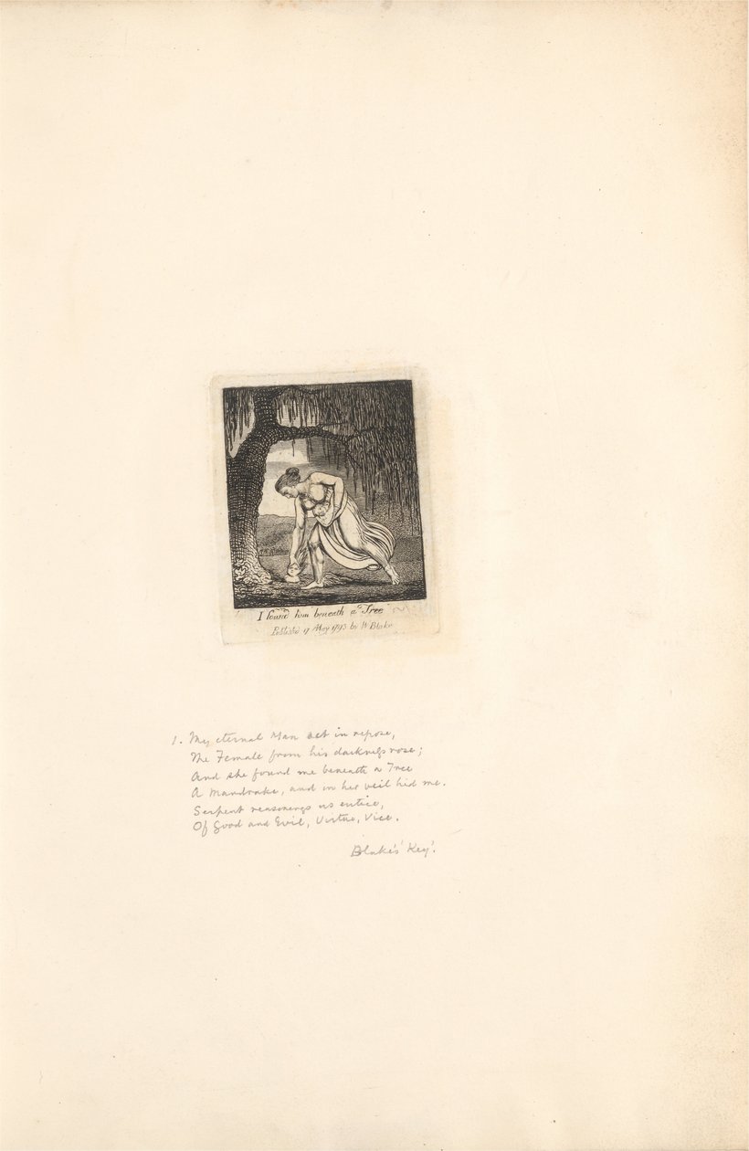 Für die Geschlechter - Die Tore des Paradieses, Tafel 3, Ich fand ihn unter einem Baum von William Blake