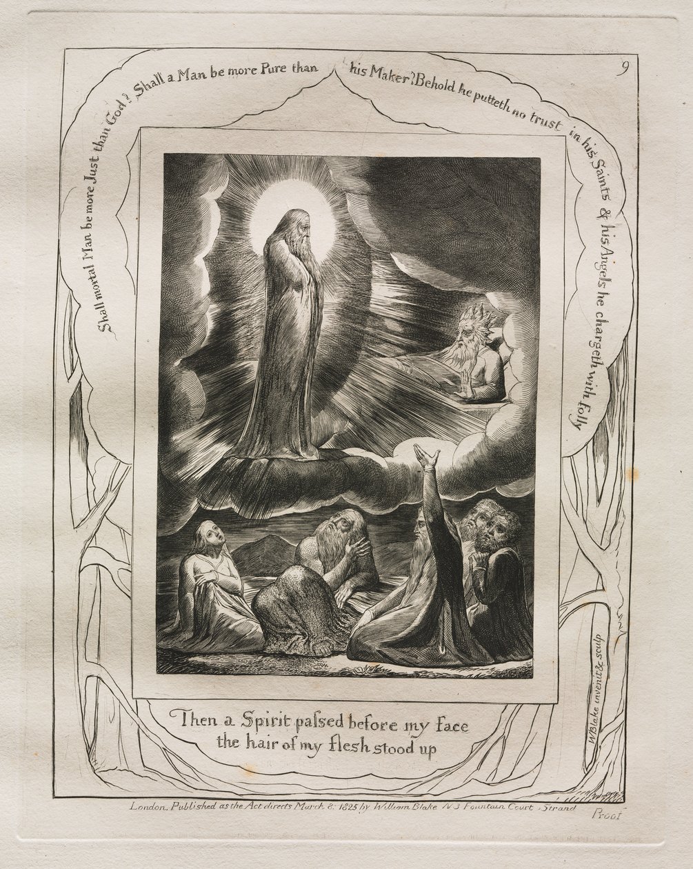 Das Buch Hiob: Pl. 9, Dann ging ein Geist vor meinem Gesicht vorbei / das Haar meines Fleisches stand auf von William Blake