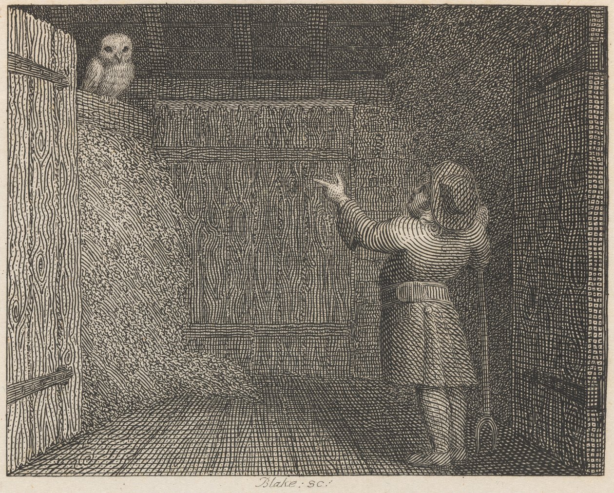 Die Eule und der Bauer von William Blake