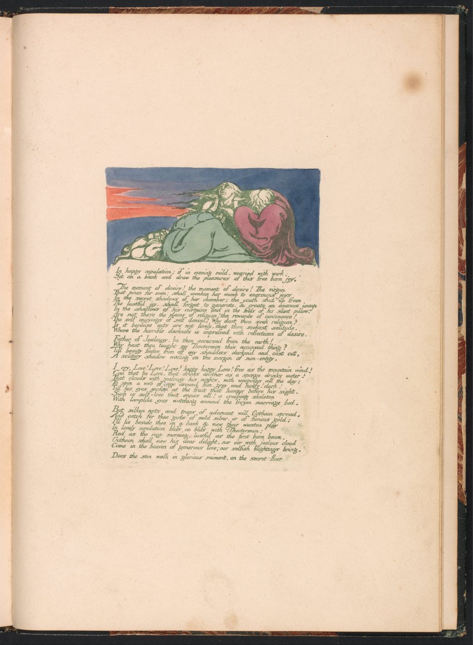 Visionen der Töchter Albions, Tafel 10, In glücklicher Kopulation . . . . von William Blake