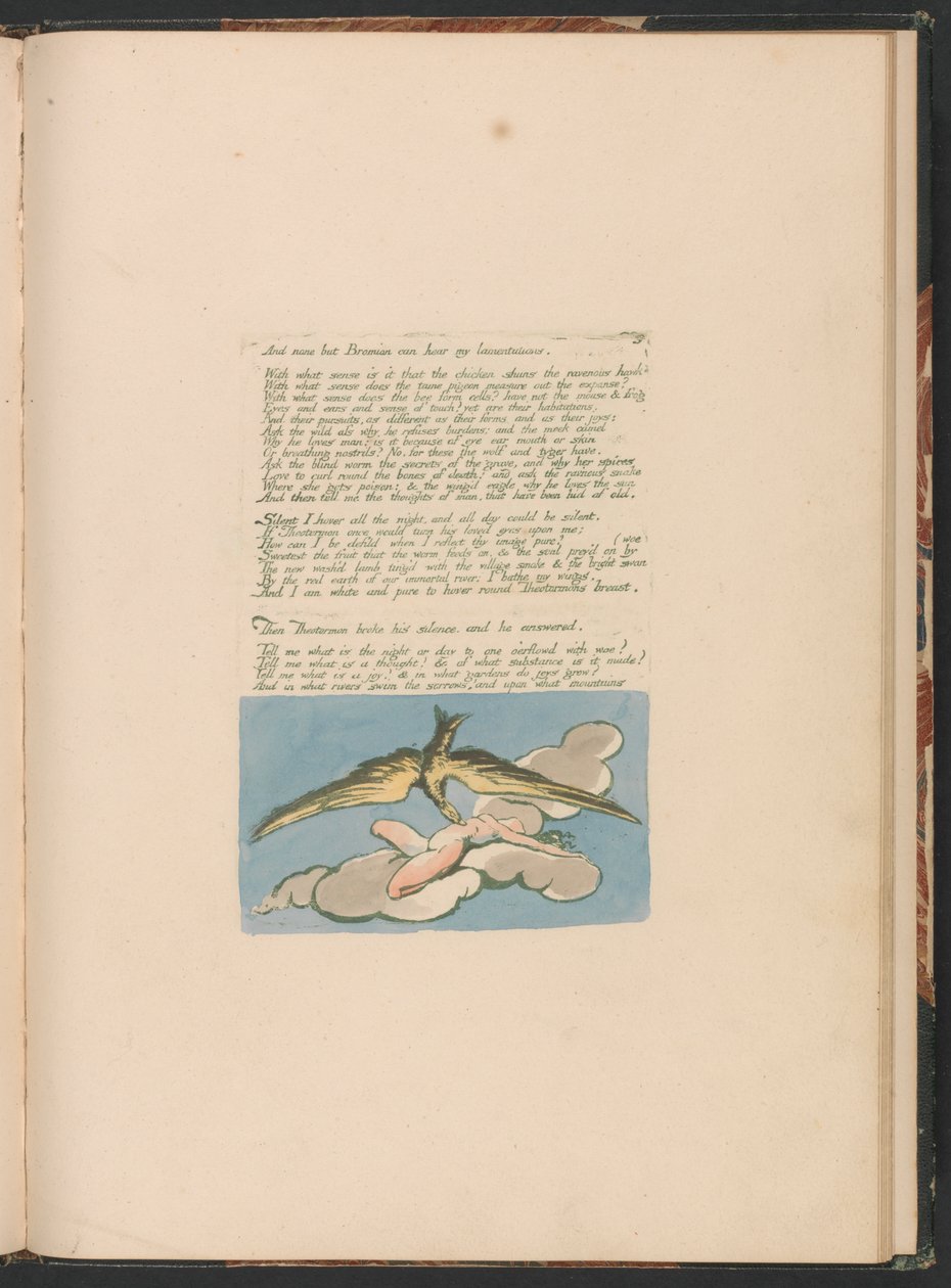 Visionen der Töchter Albions, Platte 6, "Und niemand außer Bromian . . . . " von William Blake