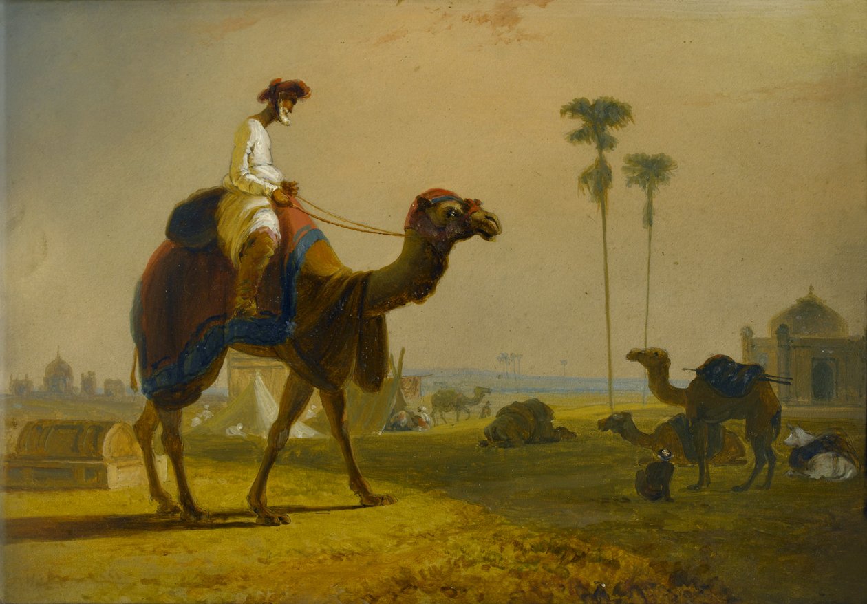 Das Hirkarrah-Kamel (Eine Szene in Ostindien), 1832 von William Daniell