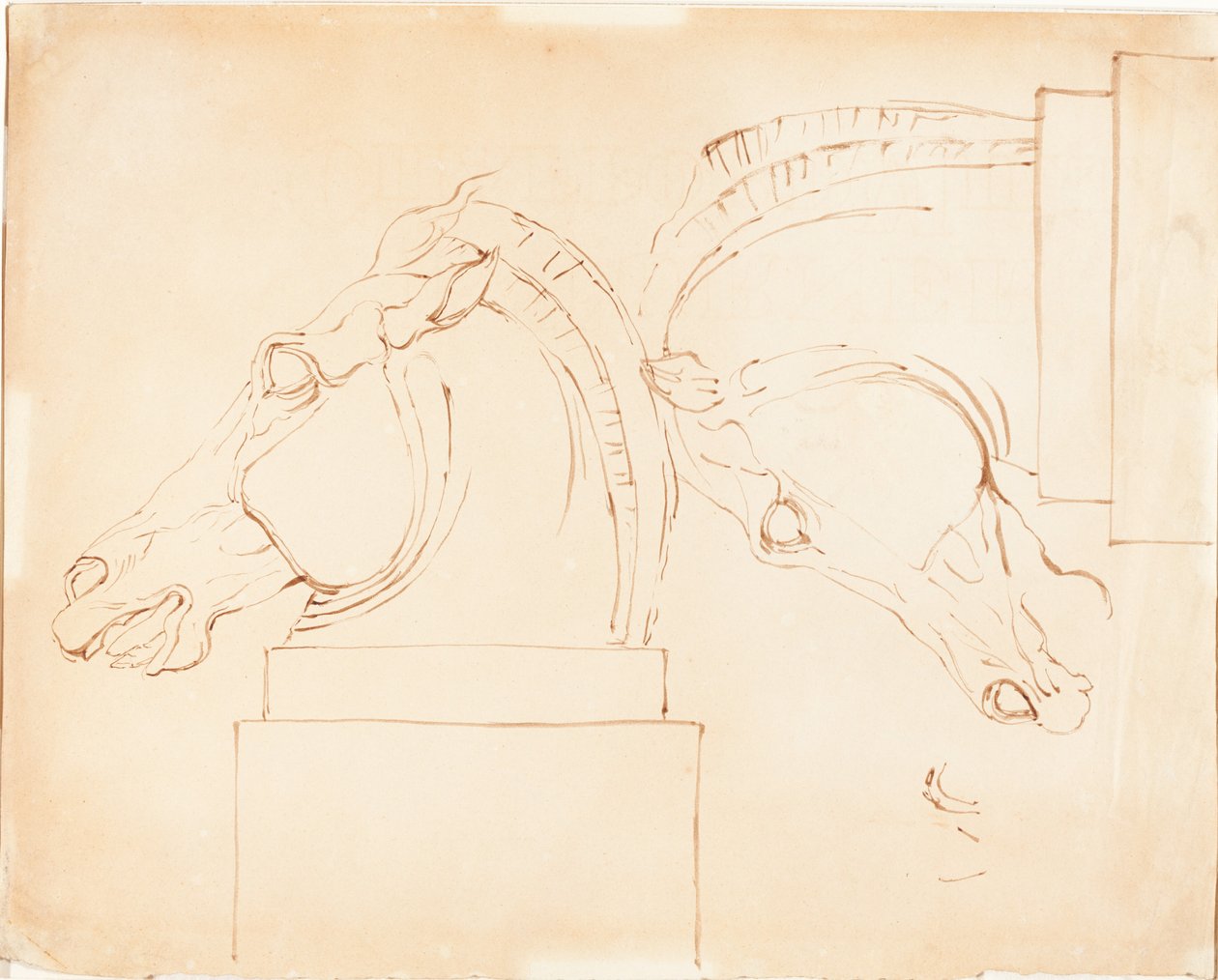 Das Pferd der Selene von den Elgin Marbles [recto] von William Etty