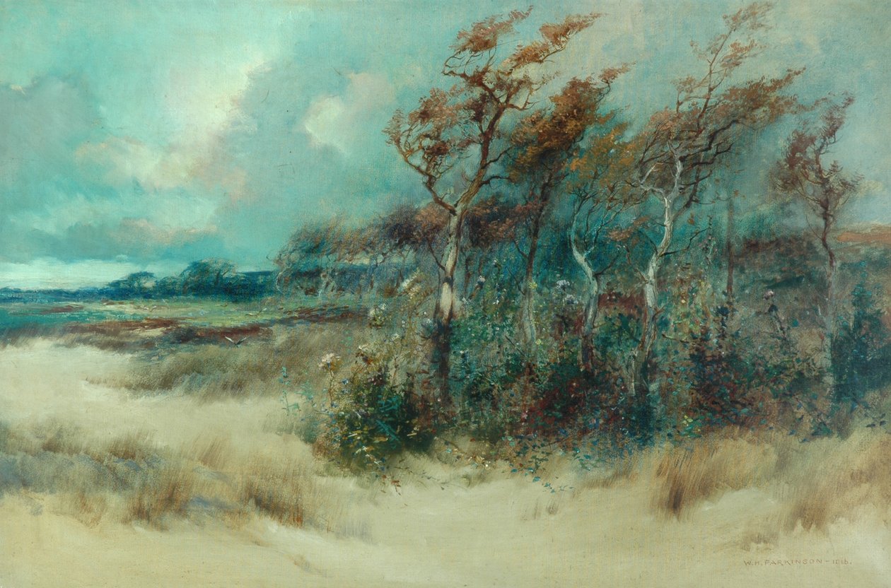 Bäume in einer Sandgasse, Heysham, 1916 von William H. Parkinson