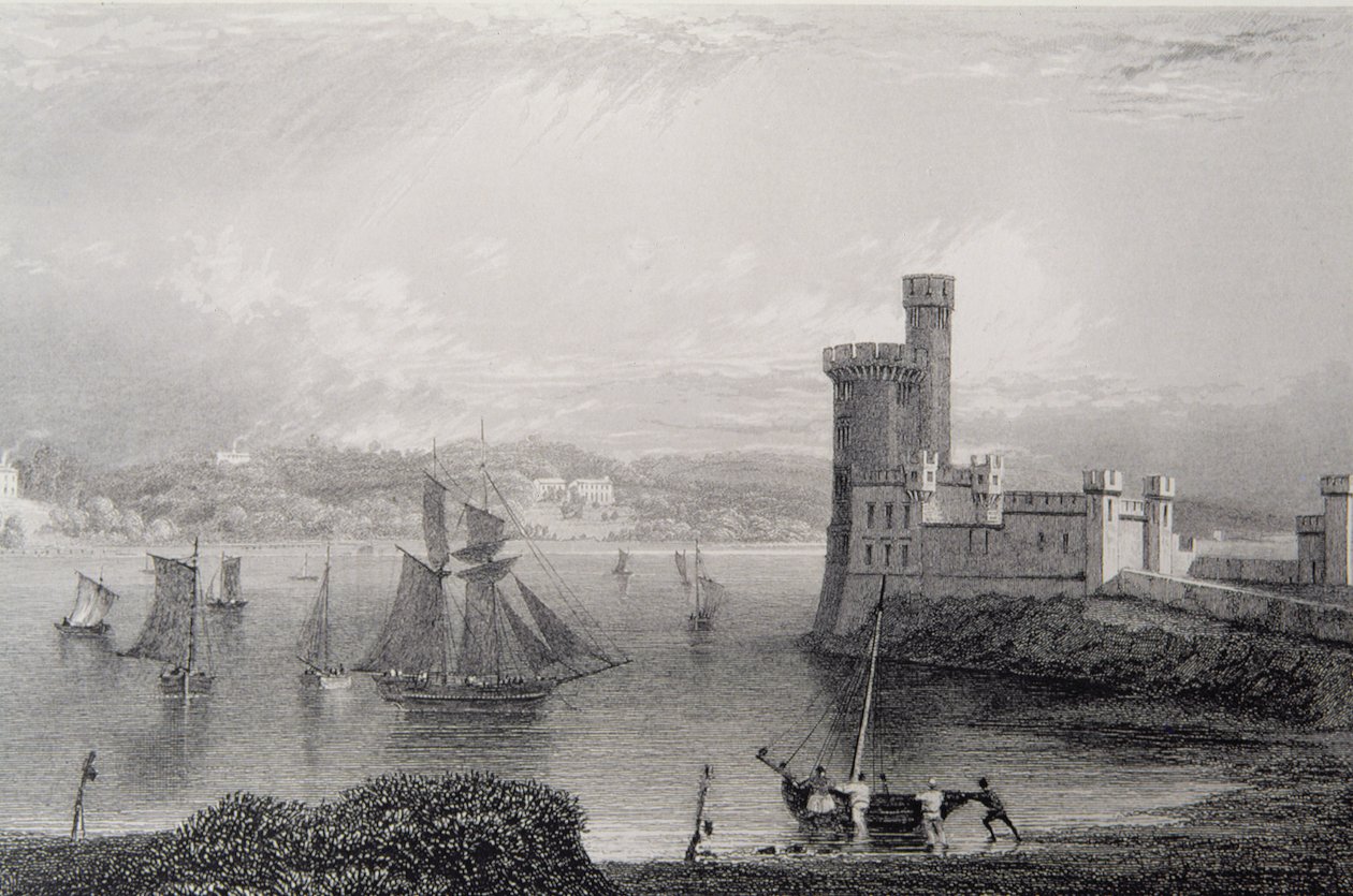 Black Rock Castle, in der Nähe von Cork, Irland, 1830er Jahre von William Henry Bartlett