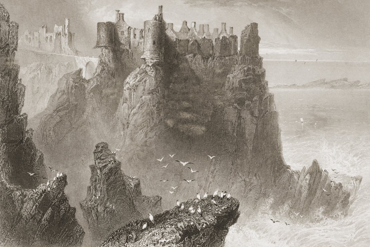 Dunluce Castle, County Antrim, Nordirland, aus 
