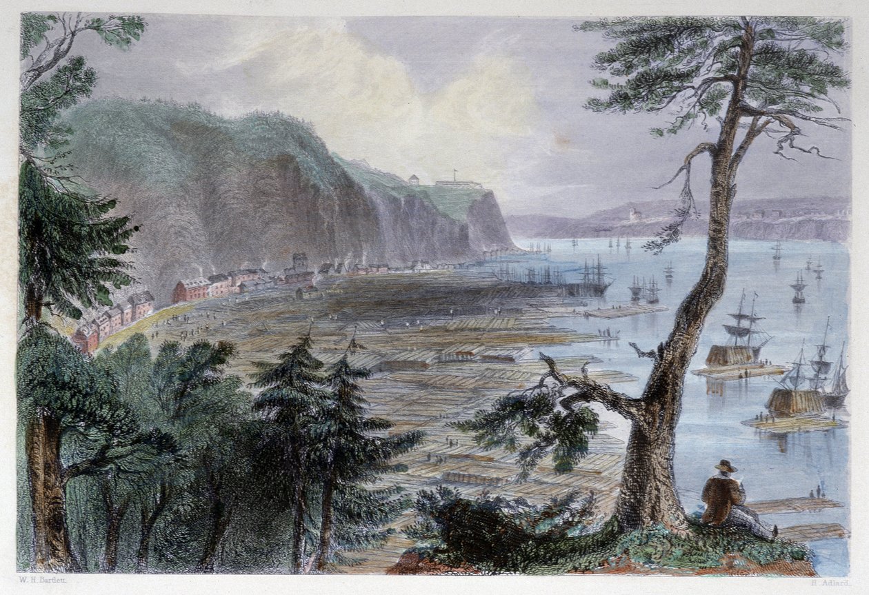 Holzablagerung in der Nähe von Quebec - in „Canadian scenery illustrated“ von Bartlett W. H. von William Henry Bartlett