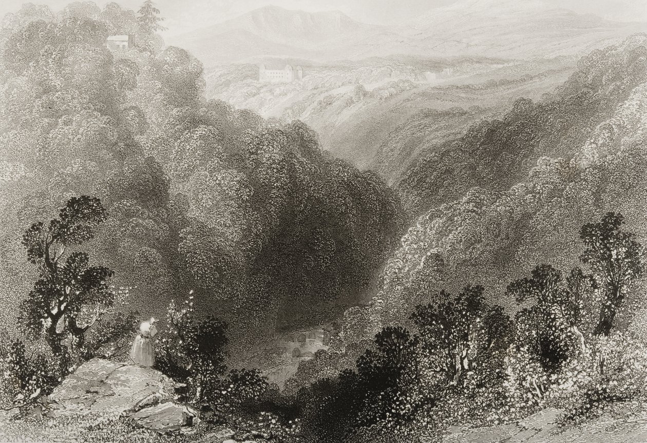 Blick auf Powerscourt vom Dargle, County Wicklow, aus 